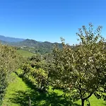 Da Tony Bed & Breakfast Tarzo