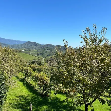 Da Tony Bed & Breakfast Tarzo
